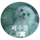 365 신원당 동물병원 이미지