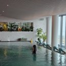 본마을한적하우스 | 부산 빌라쥬 드 아난티 후기 | 스프링팰리스·워터하우스 총정리, 만삭여행 호캉스🩵