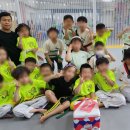 라이온즈 부부 태권도장 이미지