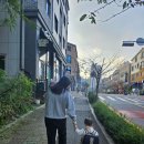 하누둥이 이미지