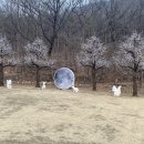 뒷골옛집 이미지