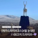 4월 눈내린 1100고지 드라이브 후기(feat.전기차 주의사항)