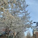 서호약국 | [2026년 3월 블로그 정리] 블로그를 하며 느낀 것들...회사밖 수입 올리는건 정말 어렵다