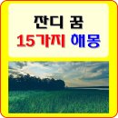 초원잔디 이미지