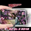 홍도야우지마라