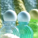 동덕여자대학교 비만미용향장대학원 이미지