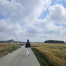 종금주유소 이미지