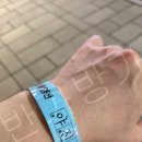 대취타 | 창경궁 야진연 2025 국립국악원 대취타 검기무 처용무 수제천