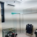 베르펫살롱 이미지