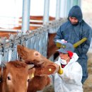 영천농장축사 이미지
