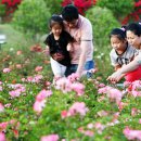 SK에너지㈜태양에너지 이미지