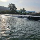 대산마을 이미지