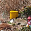 리브하임스파 이미지