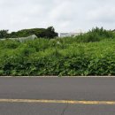 제주공감공인중개사사무소 이미지