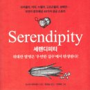 세렌디피티 이미지