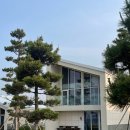오토마을 | 동해 망상오토캠핑리조트 한옥마을 동해당 및 망상해변 후기