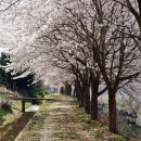 아름다운 숲길 화장실 이미지