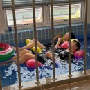 윤서네펜션 | 태안 바론 풀빌라 펜션 내돈내산 우정여행 강력추천