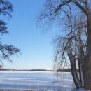 그린본 | 천안사랑니치과 및 발치 전 주의사항