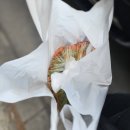 오픈박스 나운점 | [군산] 은파호수공원 우연히 들어간 찐현지인 맛집 '군산원조 홍어바로무침' 솔직 후기