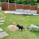 슈하우스 이미지