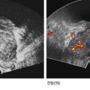 스타비뇨기과의원 이미지
