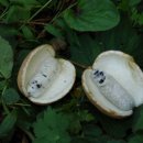 계척체육공원 이미지