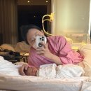 분당삼평-D-14 | 신데렐라 산후조리원 솔직이용후기｜마사지, 시설, 준비물, 식사