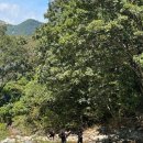 계곡위언덕펜션 이미지