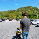 양평양떼목장 이미지