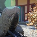 옥천사약수터 이미지