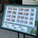 나나소프트 | [광주맛집] 수완지구 태국식 쌀국수 「나나방콕 광주수완점」 후기•주차