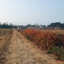 황교보건진료소 이미지