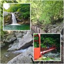 7월 5일[제2,129차] 경남 함양군 지리산(1,915m) 칠선계곡 산행 안내 이미지