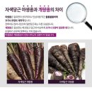 부림식품 네이버블로그