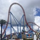 월드코스트온라인 이미지