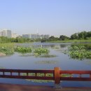 호숫가의아침 이미지