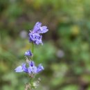 나비부화장 이미지