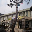 함양초교 이미지