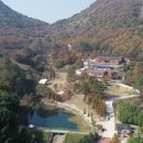 월아산 우드랜드 이미지