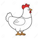 초복(初伏) 닭 시리즈 이미지