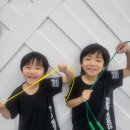 아리솔 태권도 이미지