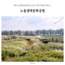 군문교 | 평택 노을생태문화공원 군문교 아래 억새밭 산책코스