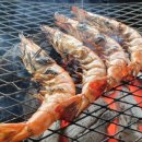 여우사이 이미지