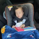 구산면556 이미지