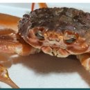 영준농장 이미지