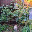 성균관로14길 이미지