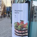 땡큐베리(Thankyou berry) 이미지