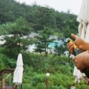 창녕별숲글램핑 이미지