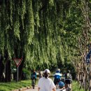 한강 자전거도로4 이미지